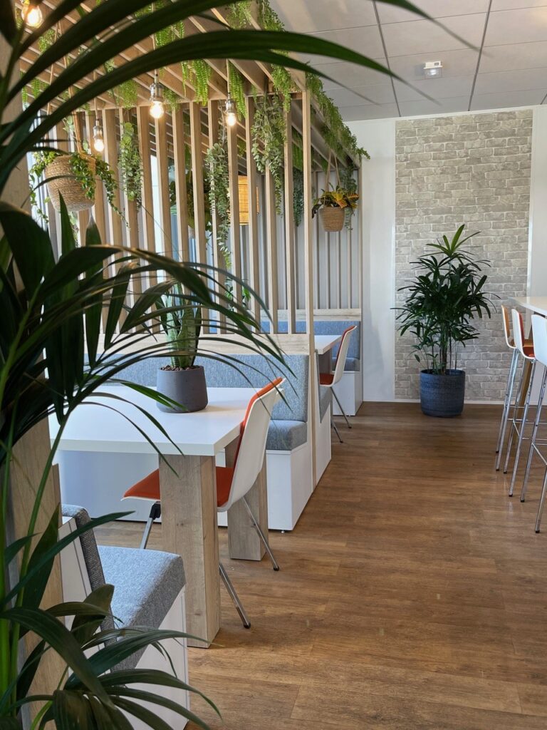 végétalisation des espaces de travail